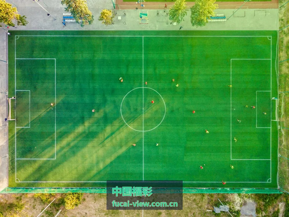 中国福彩3D彩票每日开奖
